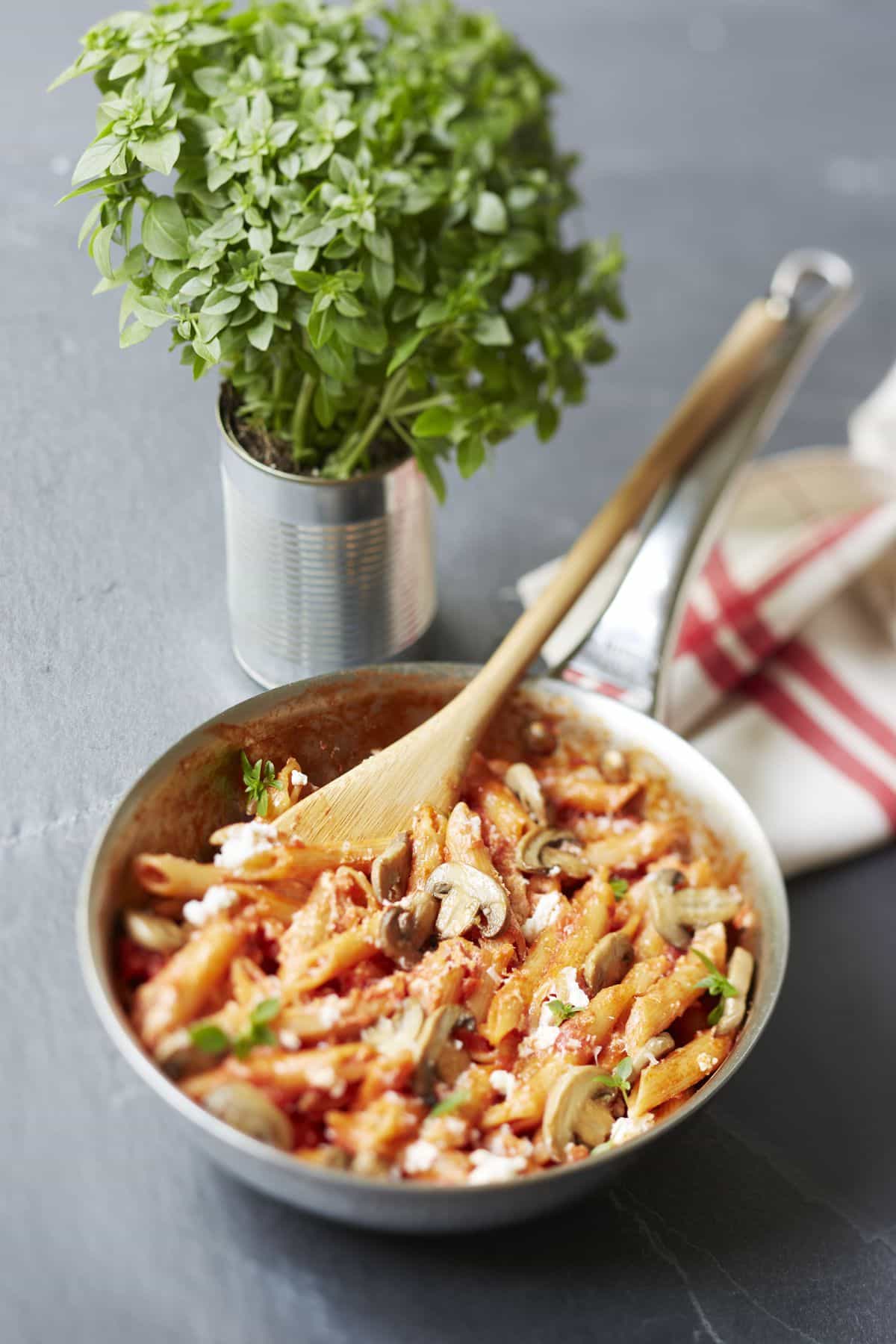 PENNE À LA TOMATE, CHAMPIGNONS ET RICOTTA